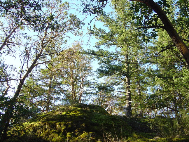 DSC04808